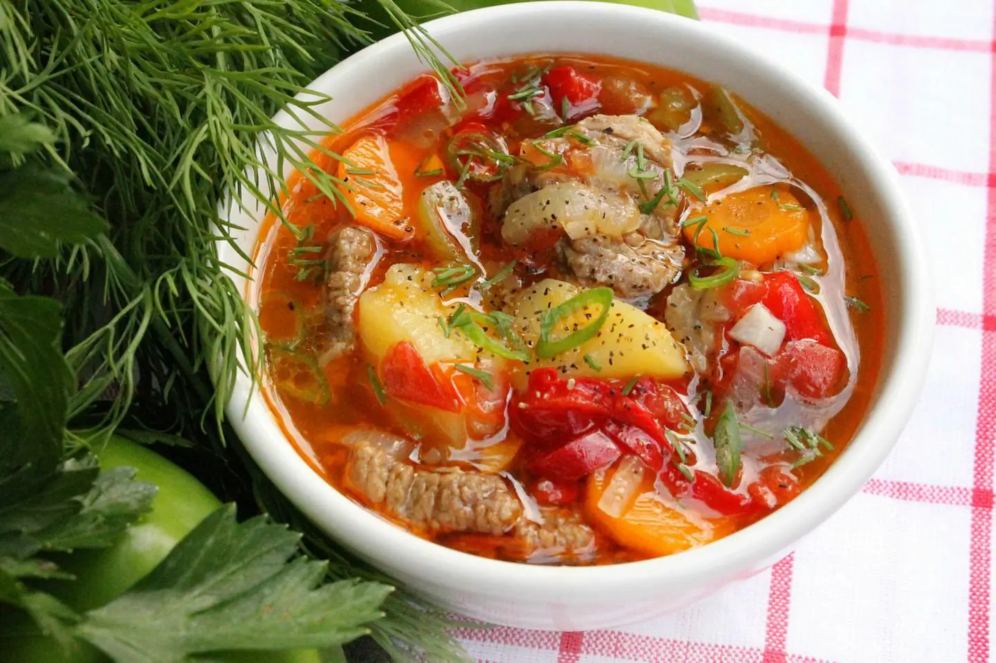 Supă de vită